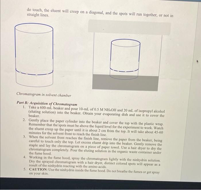 Lab Report Paper Chromatography of Amino Acids Part