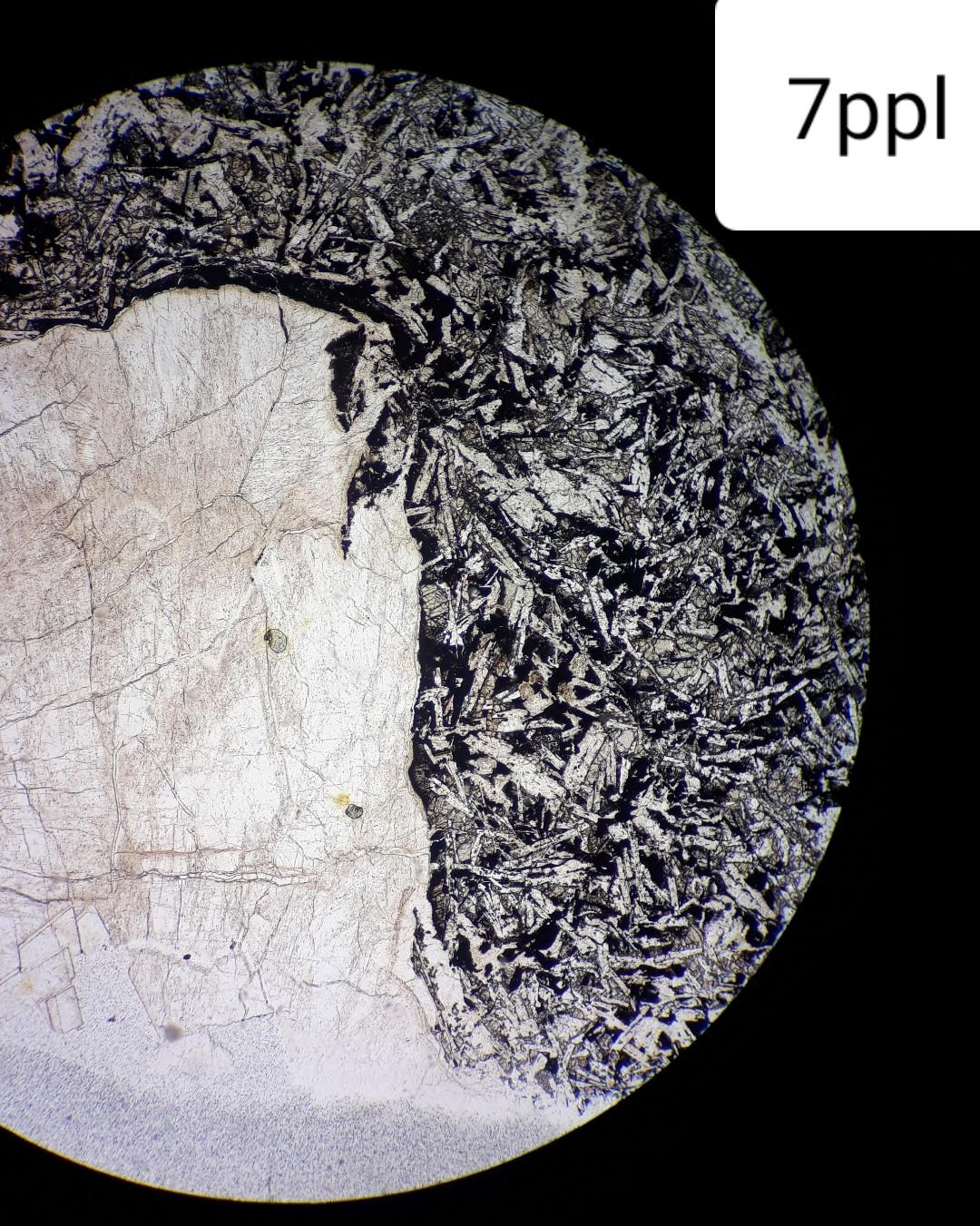 Solved every thin section is captured in plain and cross | Chegg.com