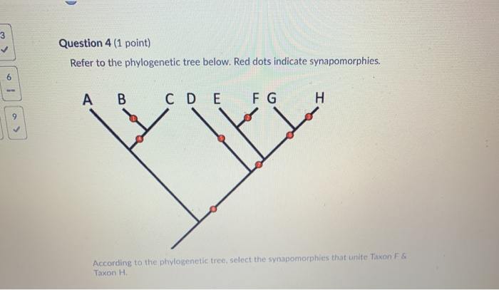 Solved Question 4 (1 Point) Refer To The Phylogenetic Tree | Chegg.com