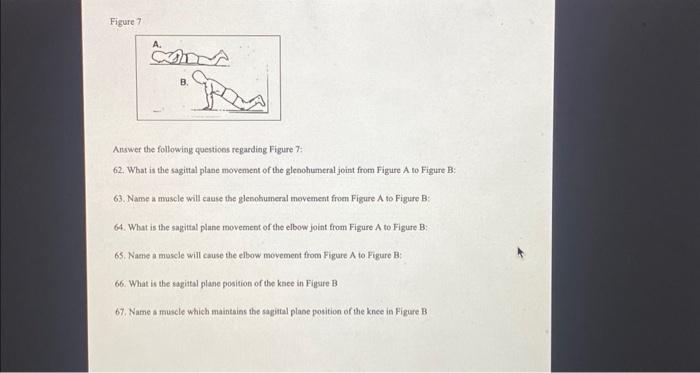 Solved Answer the following questions regarding Figure 7: | Chegg.com