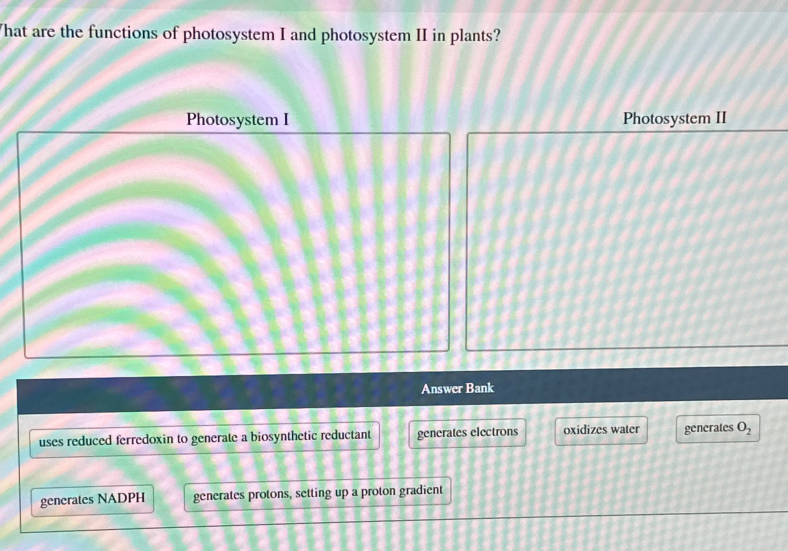Solved hat are the functions of photosystem I and | Chegg.com