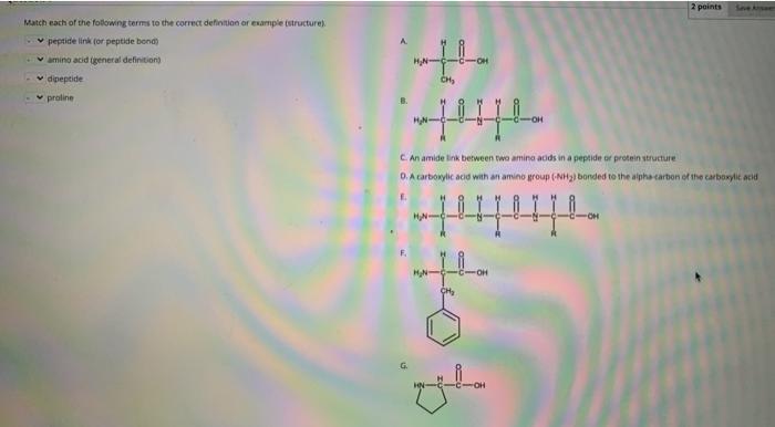 Solved 2 points Match each of the following terms to the | Chegg.com