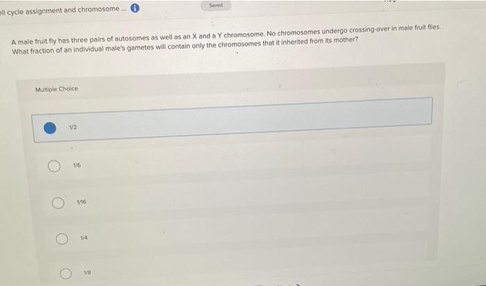 Solved Saved ell cycle assignment and chromosome A male | Chegg.com