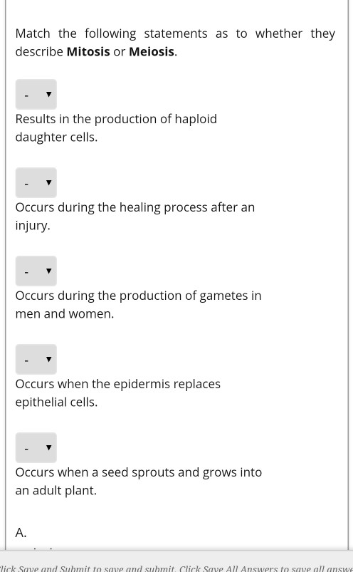 Solved Which Of The Following Statements Most Accurately | Chegg.com Solved Which Of The Following Statements Most Accurately | Chegg.com