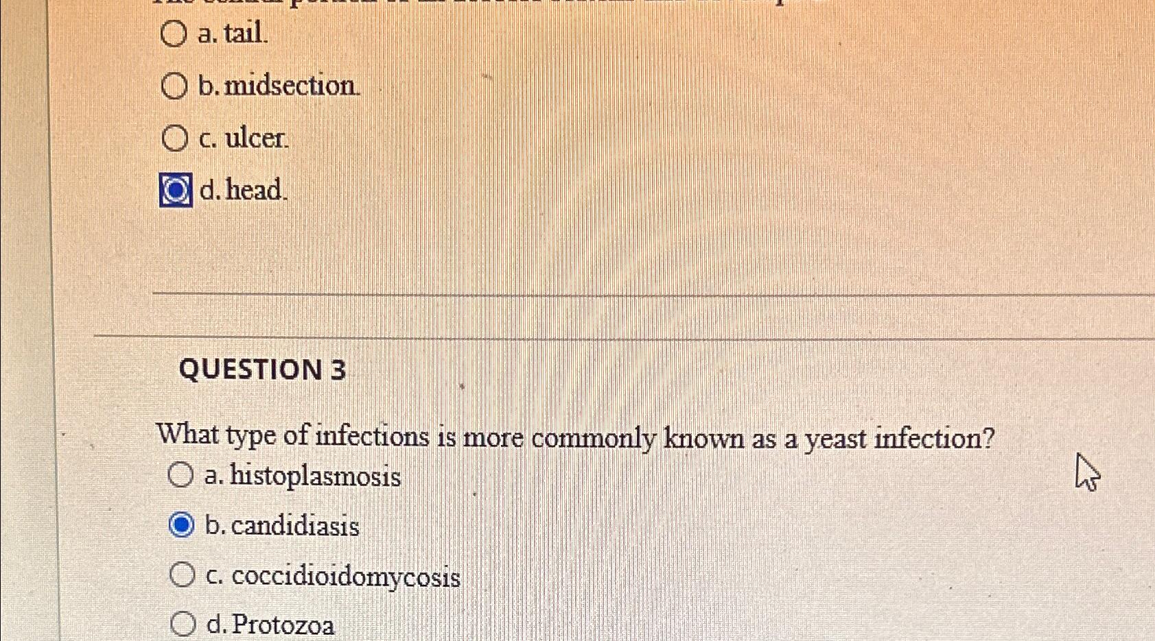 a. ﻿tail.b. ﻿midsection.c. ﻿ulcer.d. ﻿head.QUESTION | Chegg.com