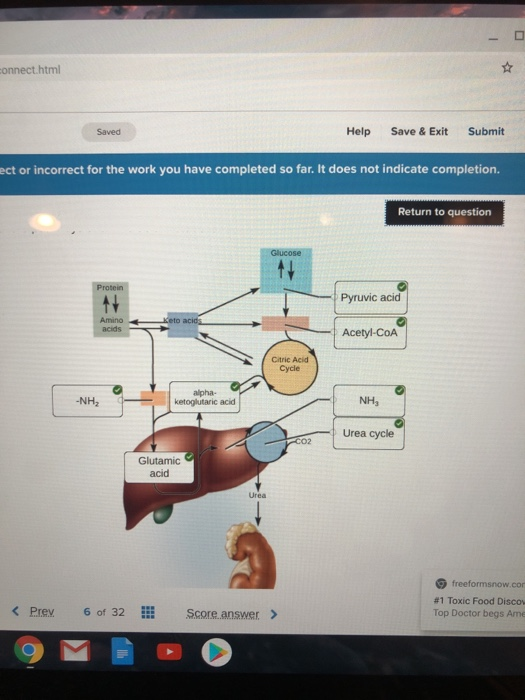 Solved Correctly Label The Following Parts Of The Pathway Chegg Com