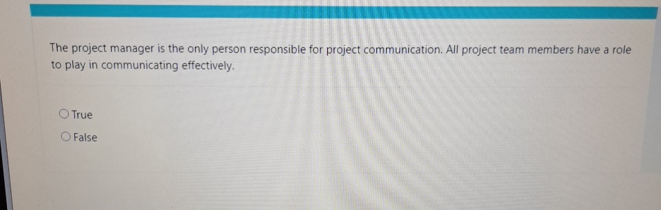Solved The project manager is the only person responsible | Chegg.com