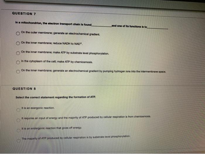 Solved QUESTION 7 In a mitochondrion, the electron transport | Chegg.com