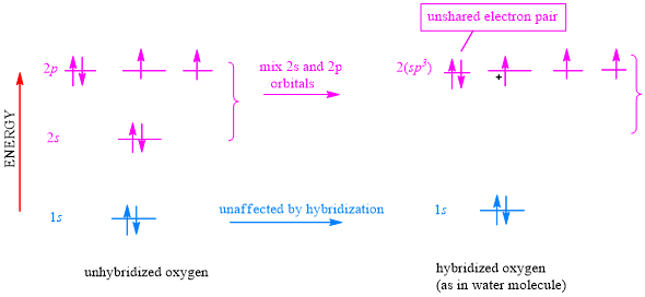 hydronium ion bonding and hybridization