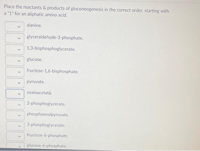 Solved Place the reactants \& products of gluconeogenesis in | Chegg.com