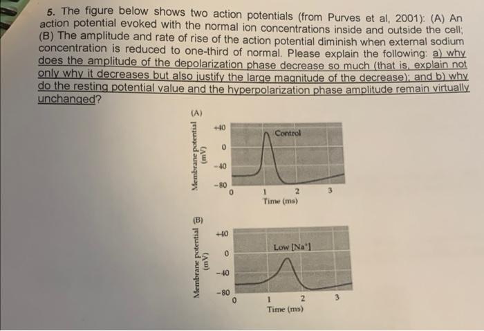 Solved 5. The Figure Below Shows Two Action Potentials (from | Chegg.com