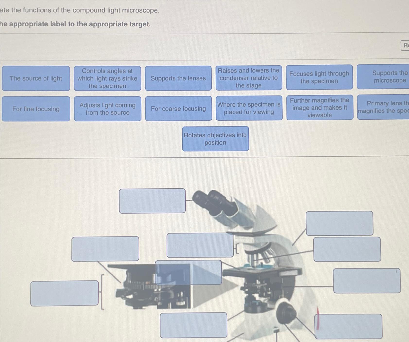 Solved ate the functions of the compound light microscope.he | Chegg.com