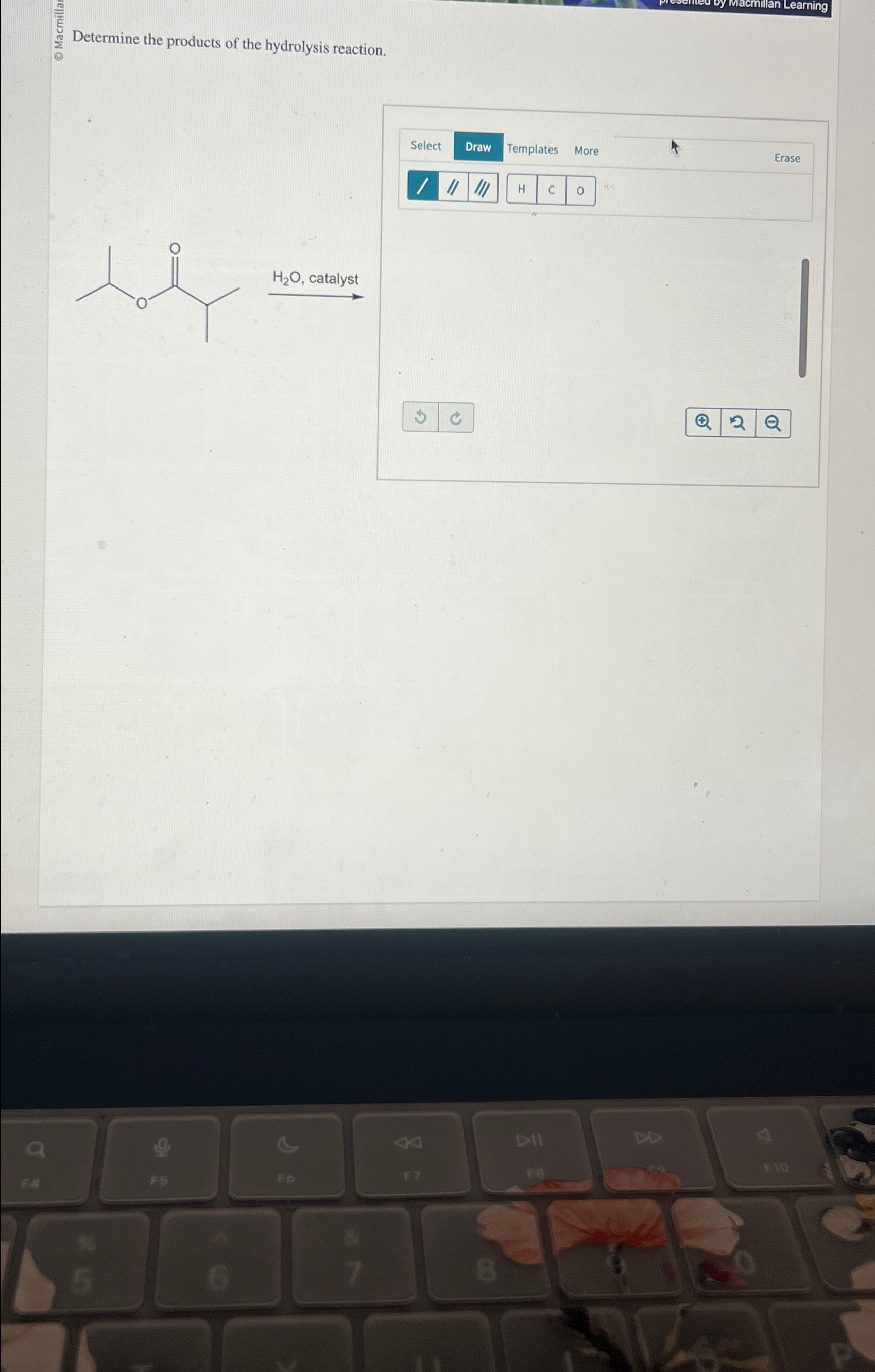 Solved ∑?? ﻿Determine the products of the hydrolysis | Chegg.com