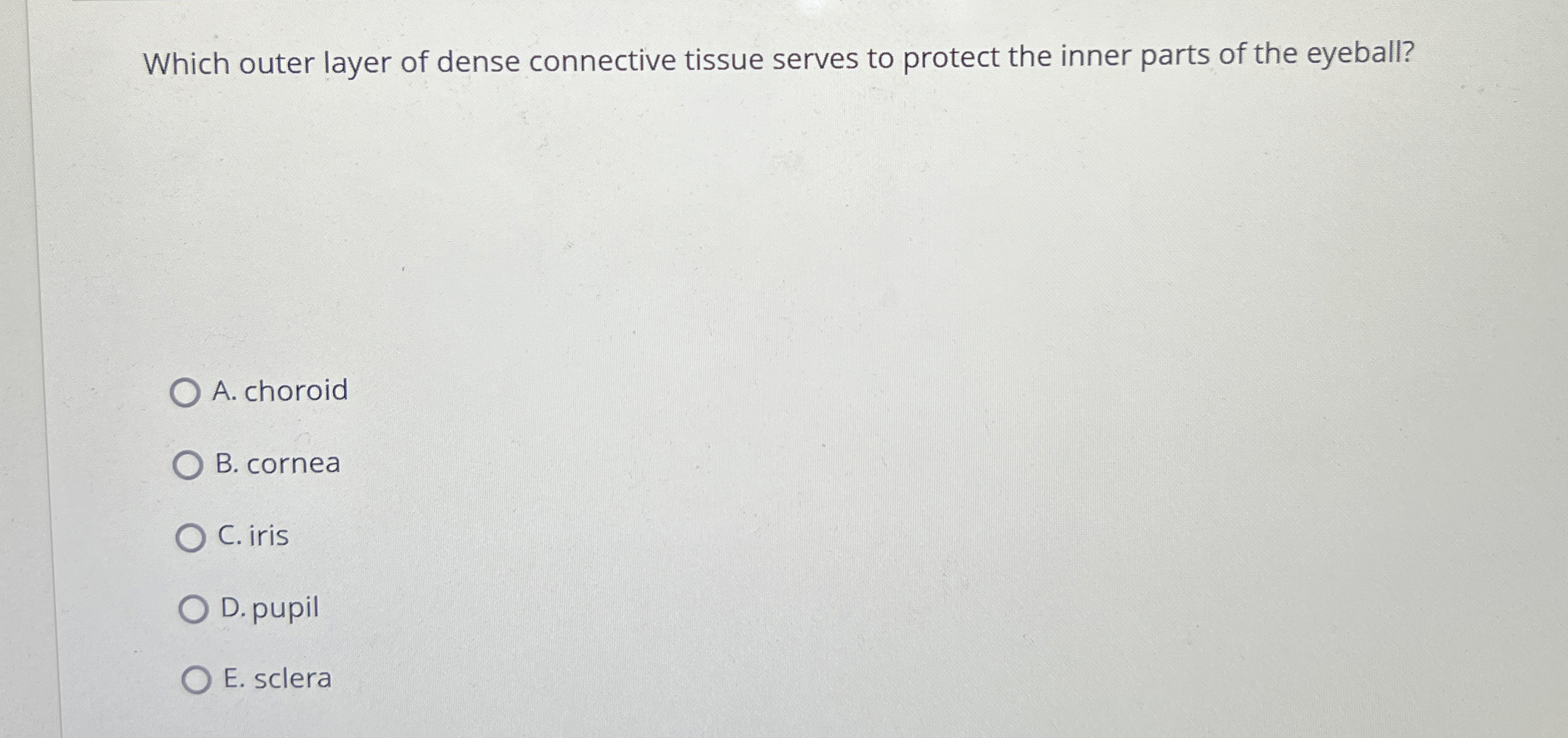 Solved Which outer layer of dense connective tissue serves | Chegg.com