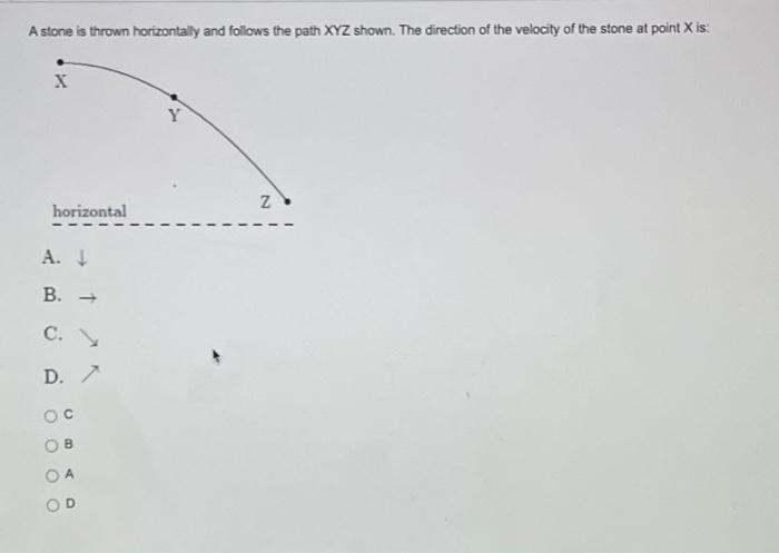 Solved A Stone Is Thrown Horizontally And Follows The Path Chegg Com