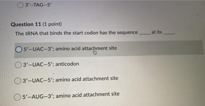 3--TAG--5 Question 11 (1 point) The tRNA that binds the start codon has the sequence at its 5-UAC-3; amino acid attachmen