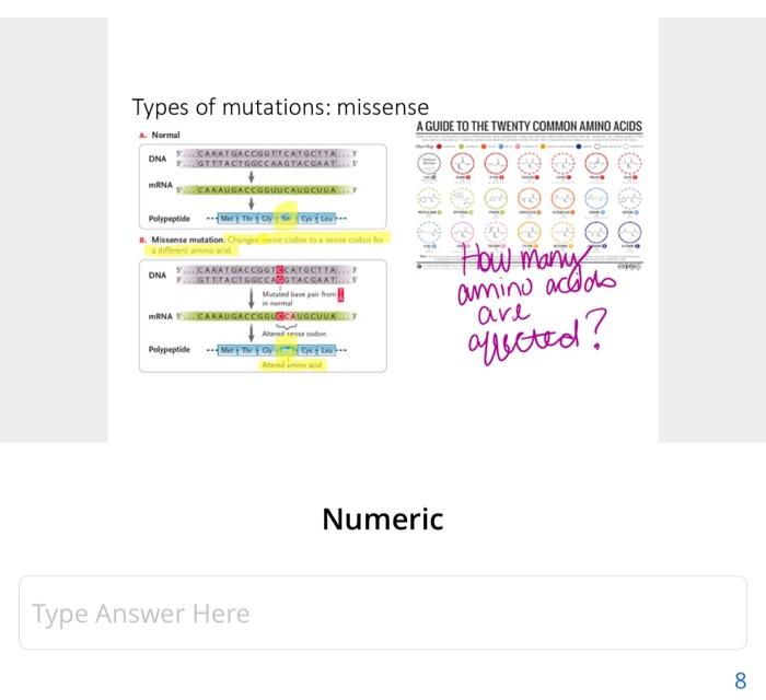Types of mutations missense A. Normal A GUIDE TO THE
