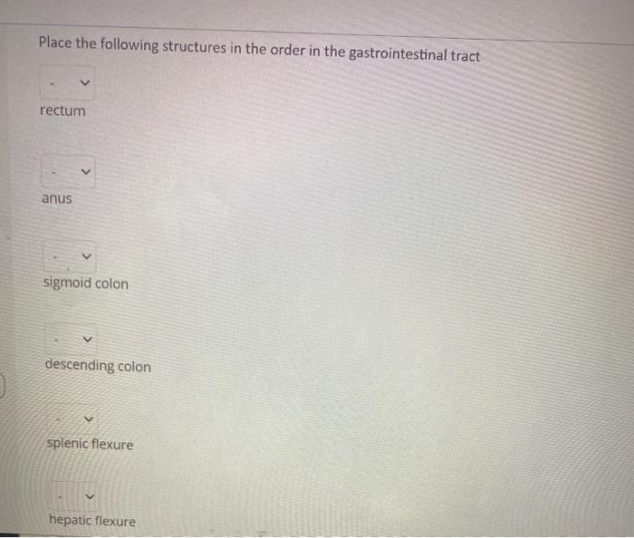Solved Place the following structures in the order in the | Chegg.com