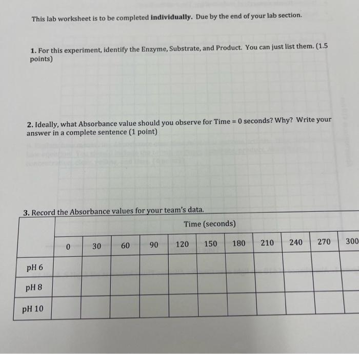 enzyme activity experiments using a simple spectrophotometer