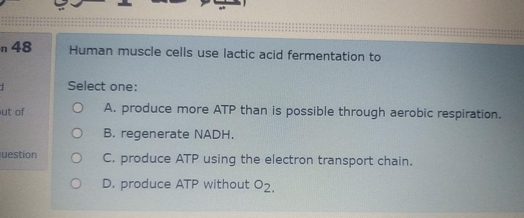 lactic acid fermentation in muscle cells