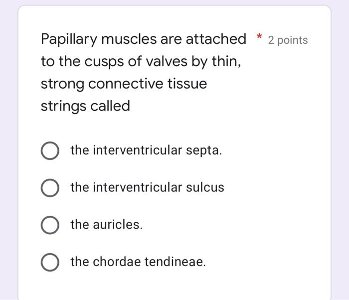 Papillary muscles are attached
to the cusps of valves by thin,
strong connective tissue
strings called
O the interventricular