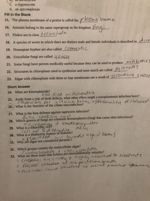 microbiology critical thinking questions answers