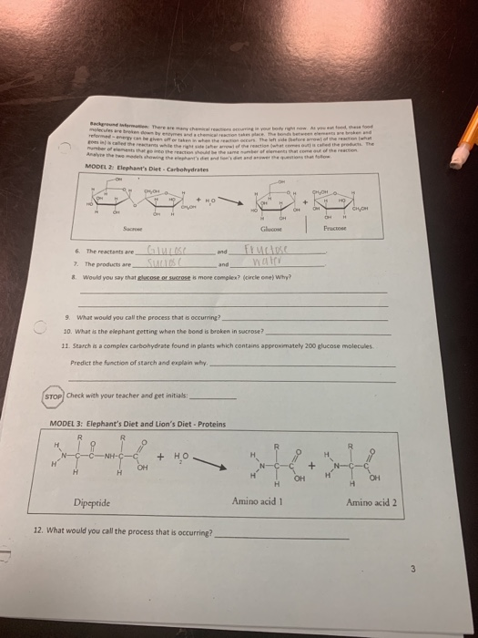 Solved MODEL hant&rsquo;s DetCarbohydrates + HO HO Sacro Glucose | Chegg.com