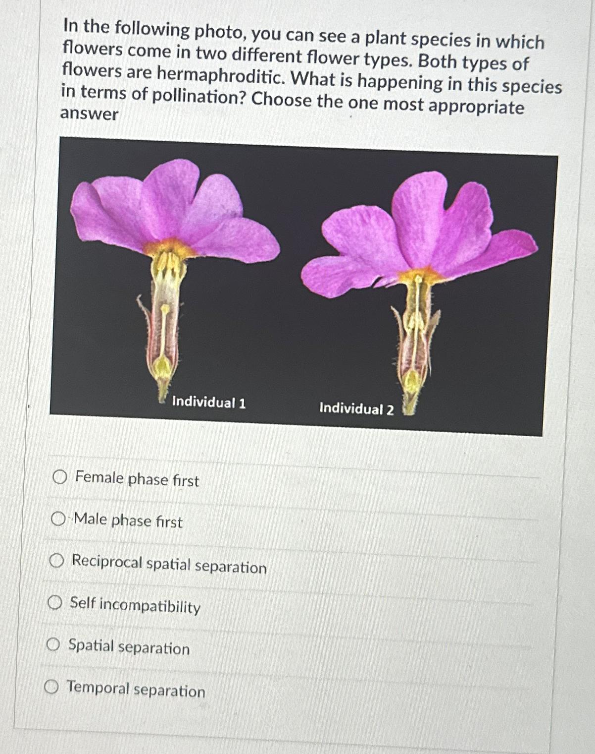 Solved In the following photo, you can see a plant species | Chegg.com