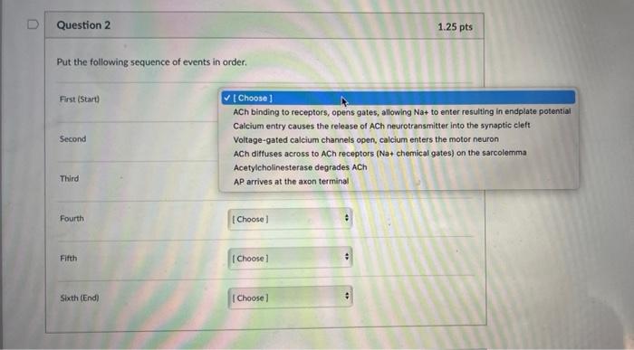 Solved U Question 2 1.25 pts Put the following sequence of | Chegg.com