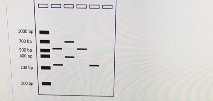 Solved shows the specinc Alu region that you are trying to | Chegg.com