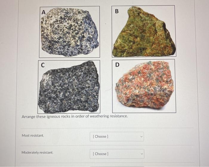 Solved A B C D Arrange these igneous rocks in order of | Chegg.com