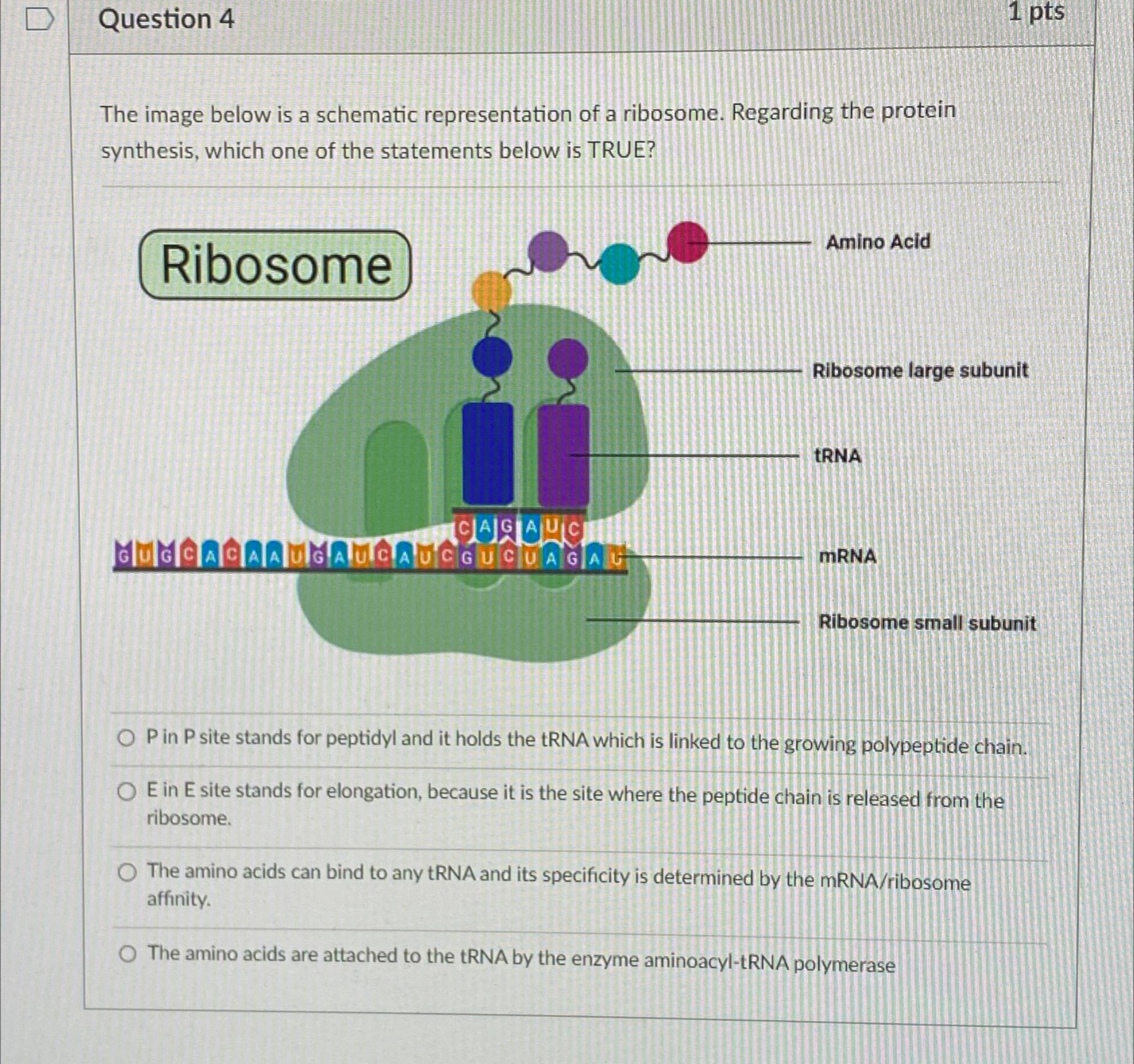 Solved Question 41 ﻿ptsThe image below is a schematic | Chegg.com