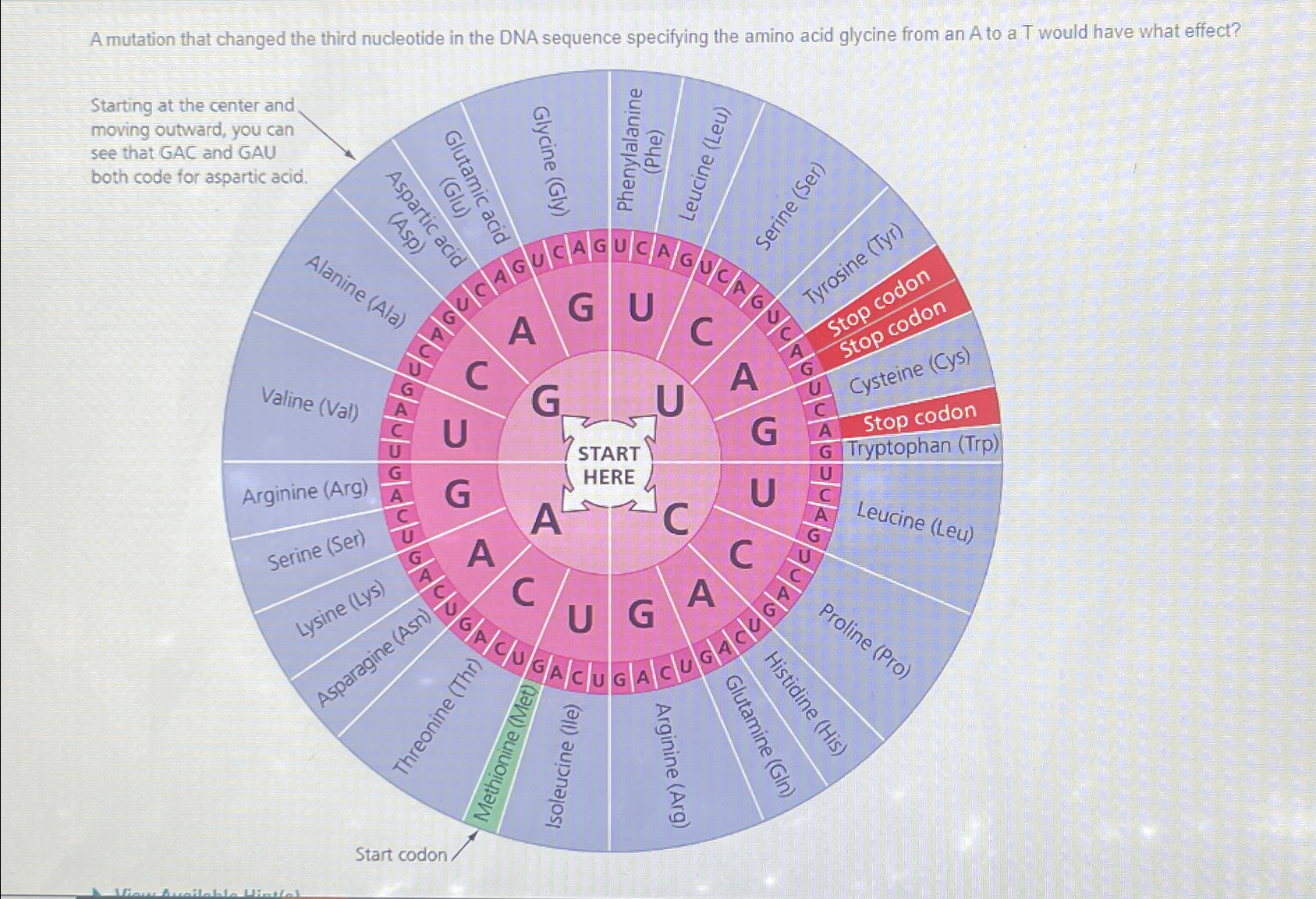 Solved A mutation that changed the third nucleotide in the | Chegg.com
