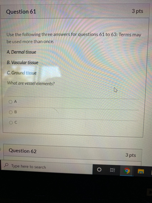 Solved Question 61 3 pts Use the following three answers for | Chegg.com