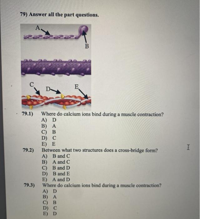 Solved 79) Answer all the part questions. A. B с D Ε E 79.1)