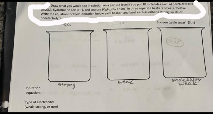 Solved Draw what you would see in solution on a particle | Chegg.com