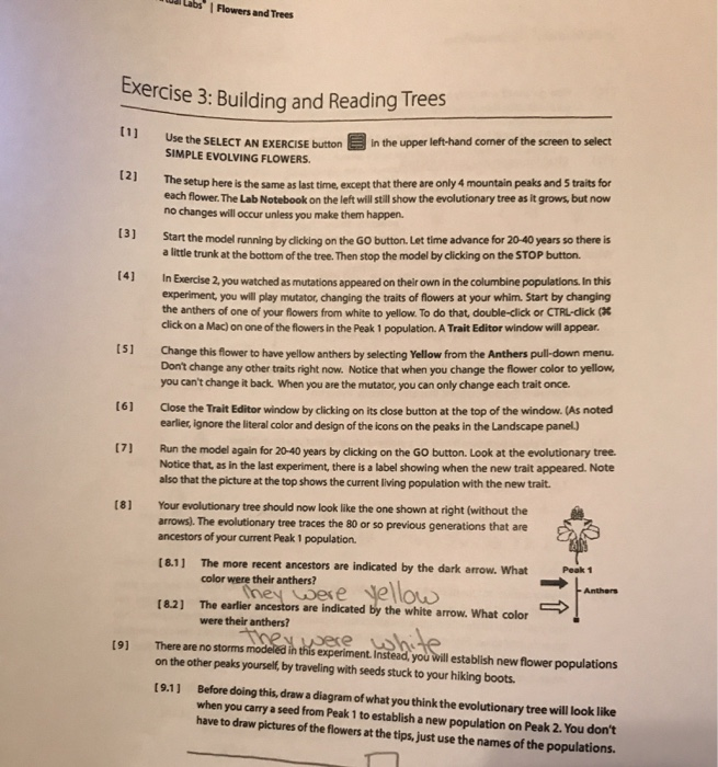 Labs Flowers And Trees Exercise 3 Building And Chegg Com