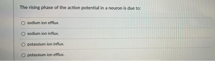 Solved The rising phase of the action potential in a neuron | Chegg.com
