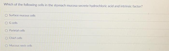 Solved Which of the following cells in the stomach mucosa | Chegg.com