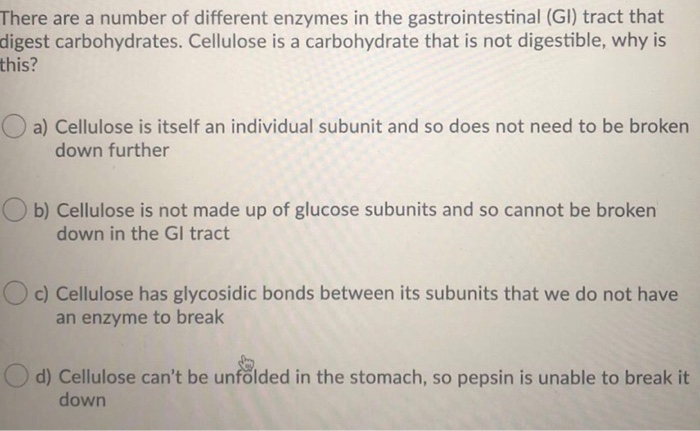 Solved There are a number of different enzymes in the | Chegg.com