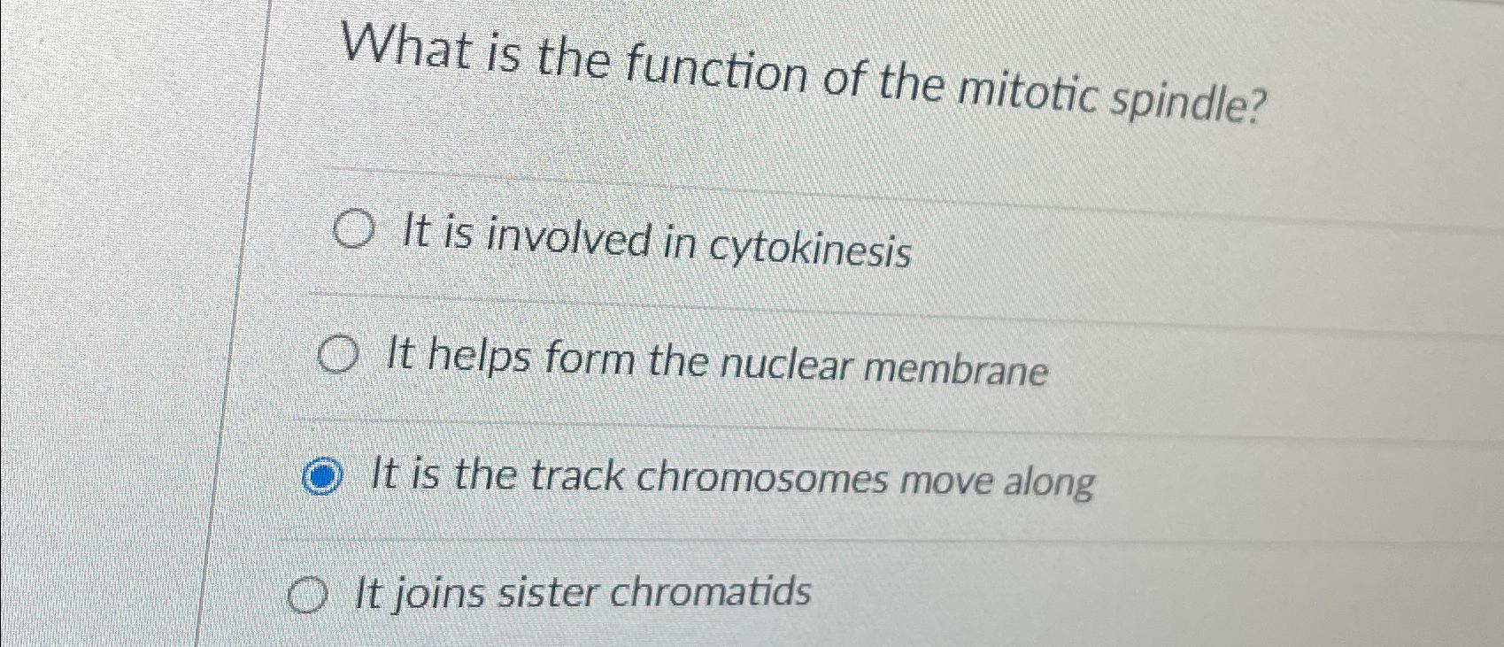 Solved What is the function of the mitotic spindleIt is Biology Diagrams