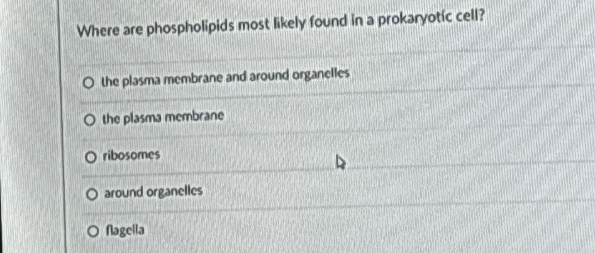 Solved Where are phospholipids most likely found in a