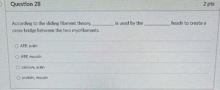 Question 28 2 pts is used by the heads to create a According to the sliding filament theory, cross bridge between the two myo