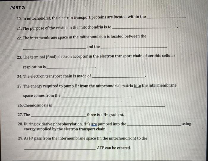 Solved PART 2: 20. In mitochondria, the electron transport | Chegg.com
