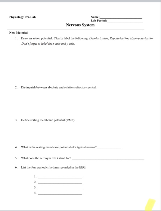 Solved Physiology Pre-Lab Name: Lab Period: Nervous System | Chegg.com