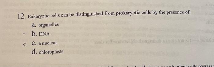 Solved 12. Eukaryotic cells can be distinguished from | Chegg.com