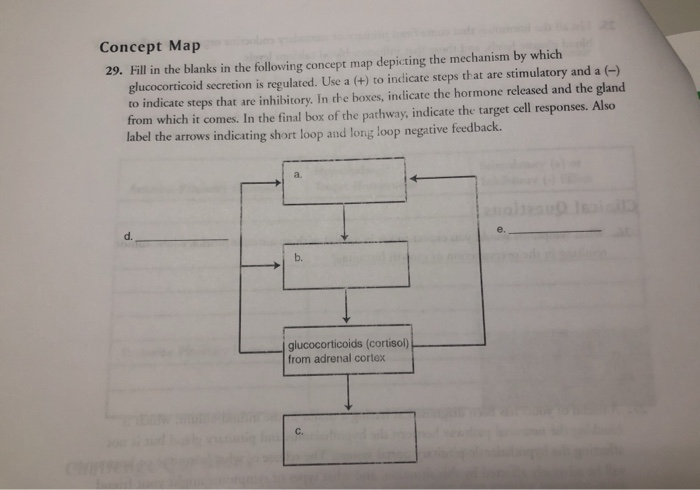 Solved 2t Concept Map 29. Fill in the blanks in the | Chegg.com