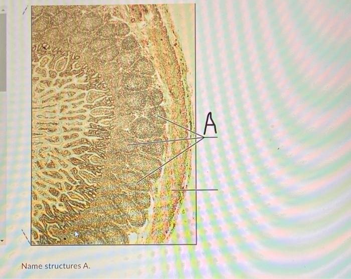 Name structures A.