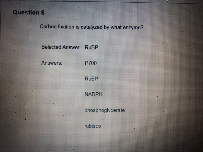 Solved Question 6 Carbon fixation is catalyzed by what