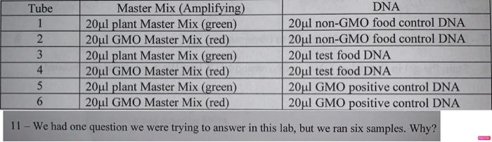 Solved Tube 1 2 3 4 5 6 Master Mix (Amplifying) 20ul plant | Chegg.com